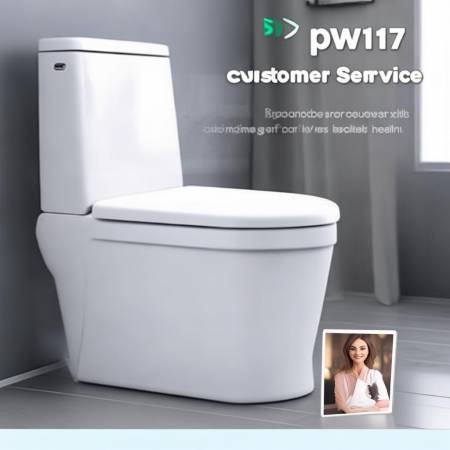 智能马桶pw1117,售后无忧
